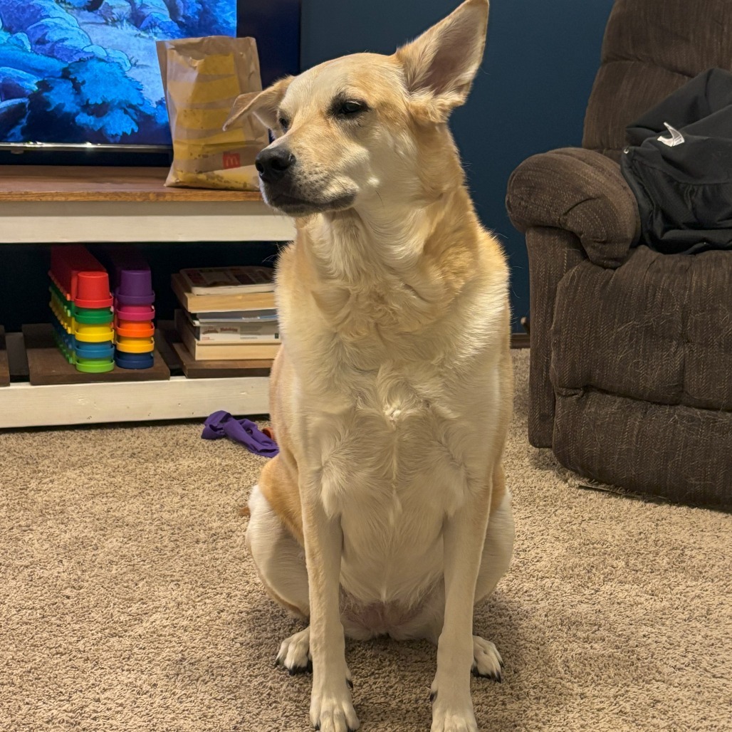 Maya