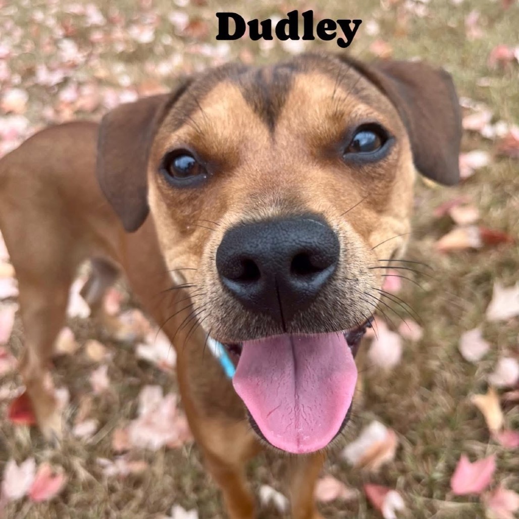 Dudley