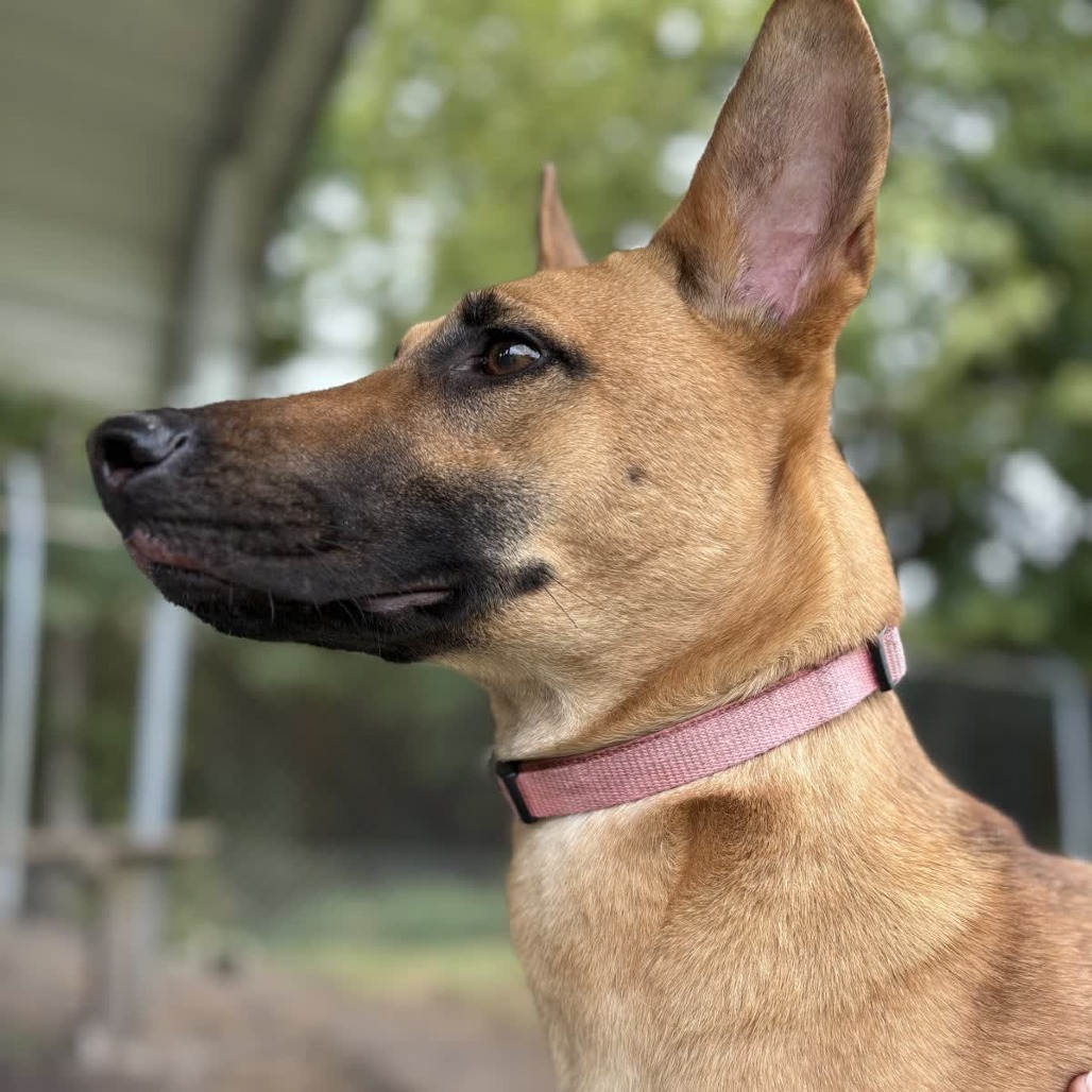 Athena