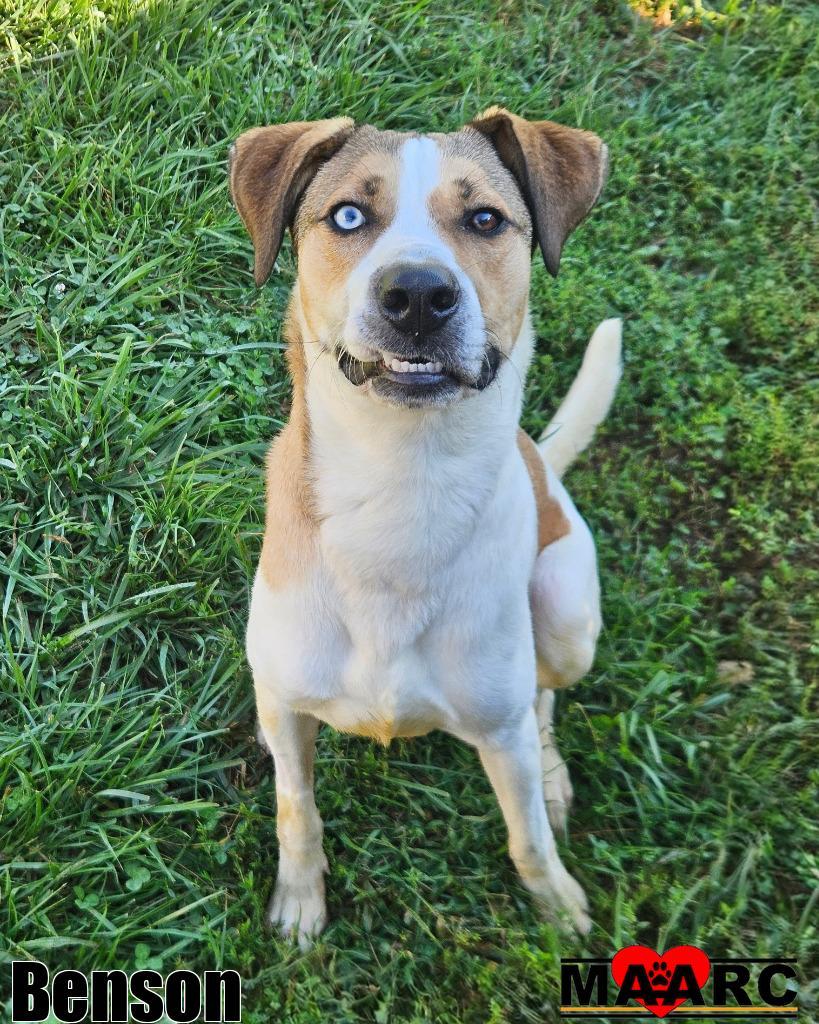Benson
