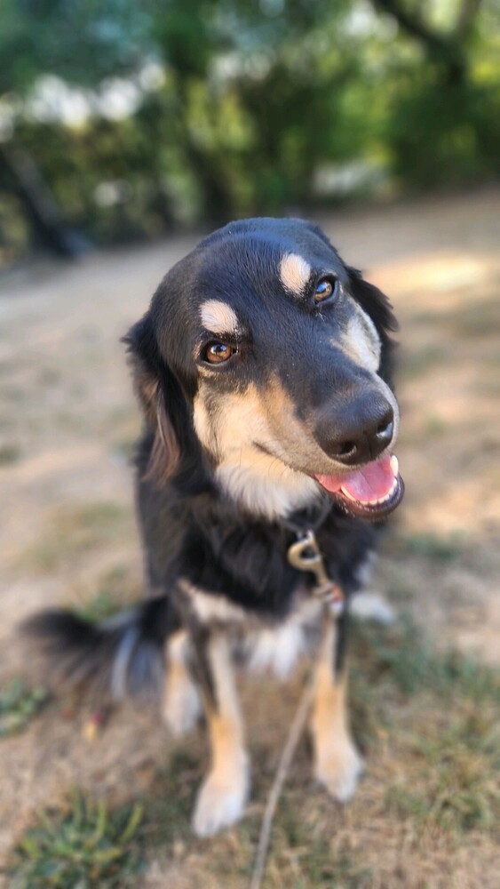 Nella