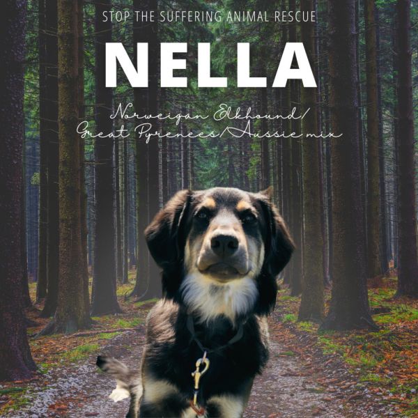 Nella thumbnail 3