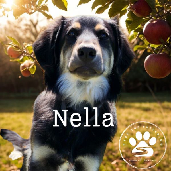 Nella thumbnail 6