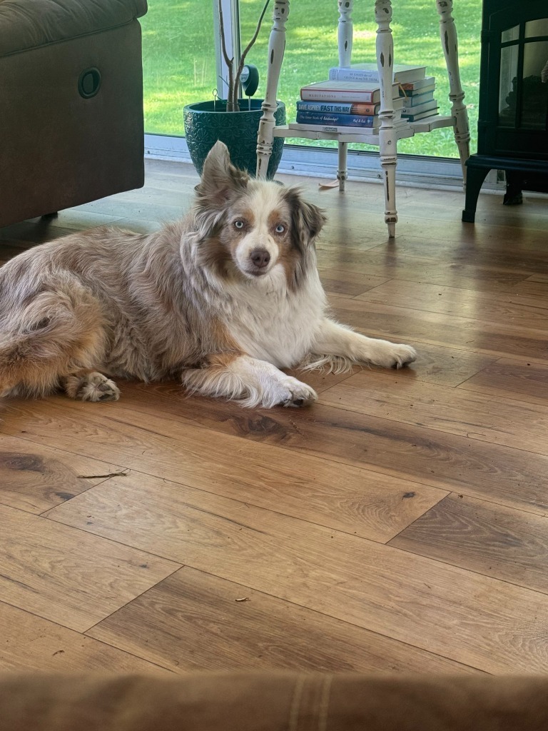 Zoe