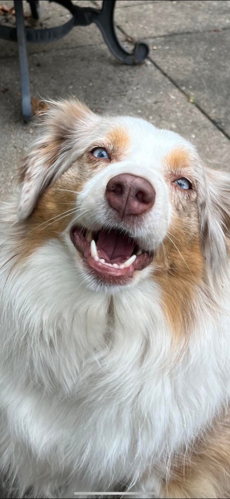 Zoe