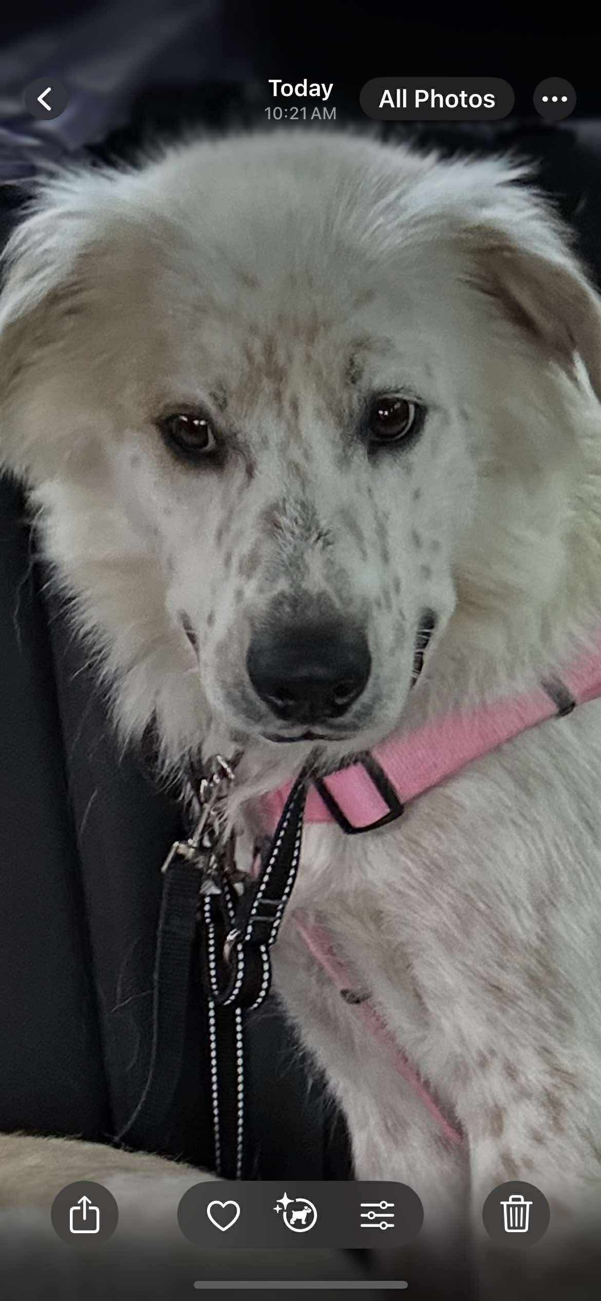 Freya!