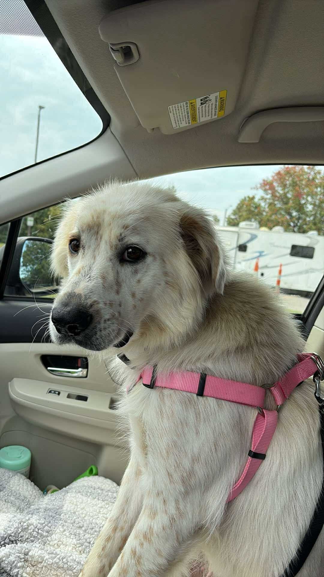 Freya!