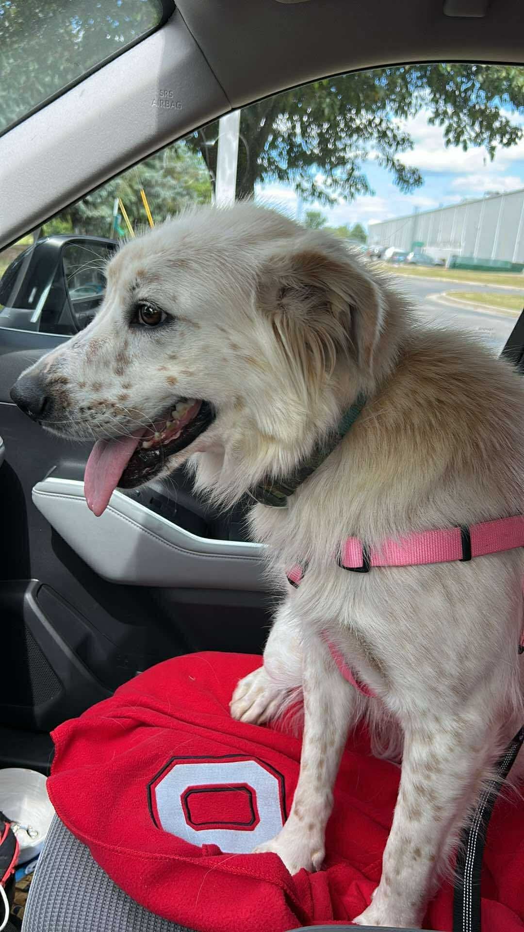 Freya!