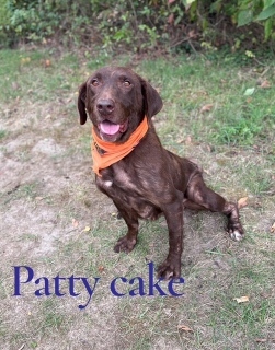 Patty Cake 122699