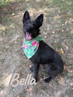 Bella 124302