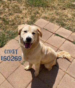 Comet