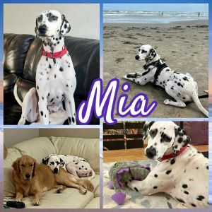 Mia