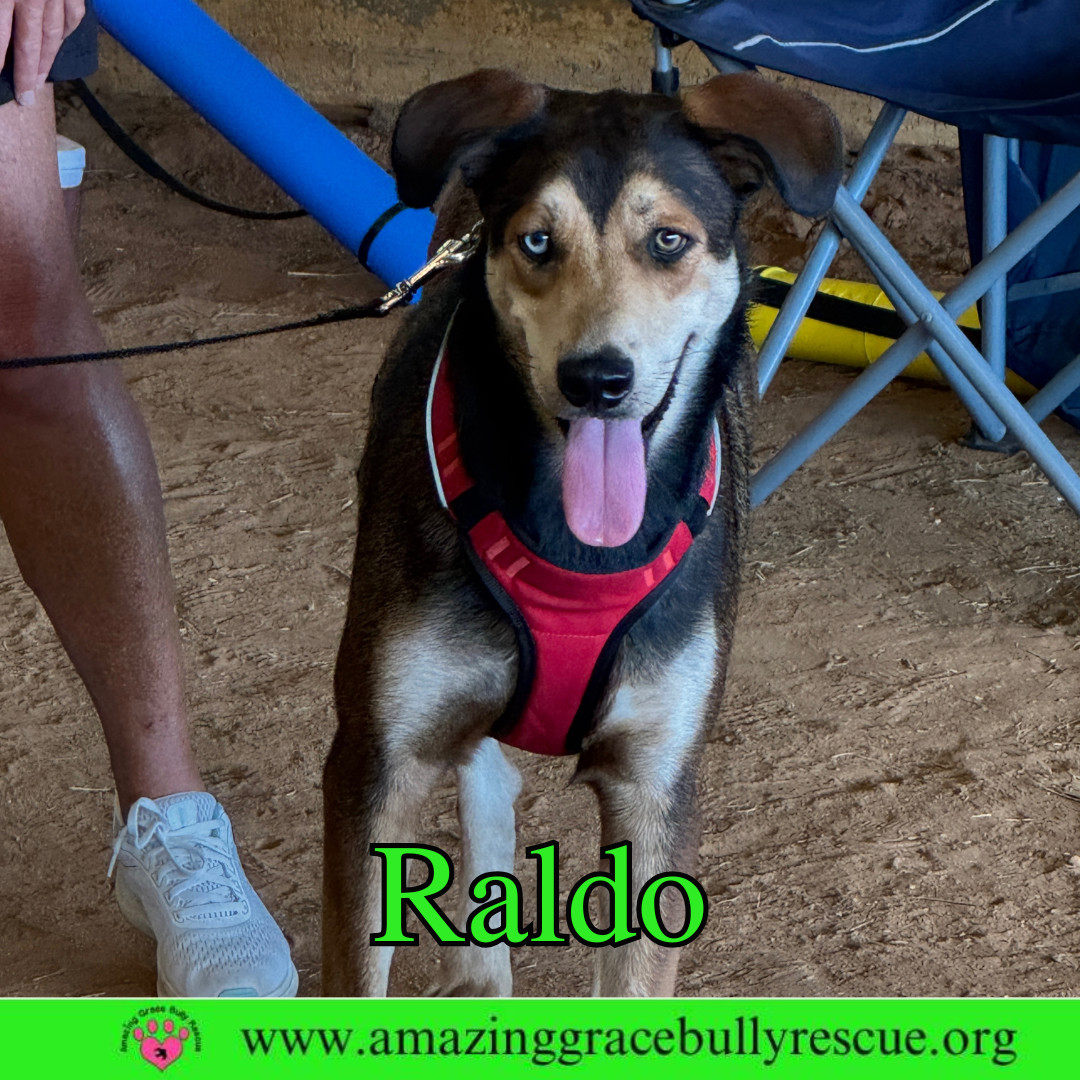 Raldo