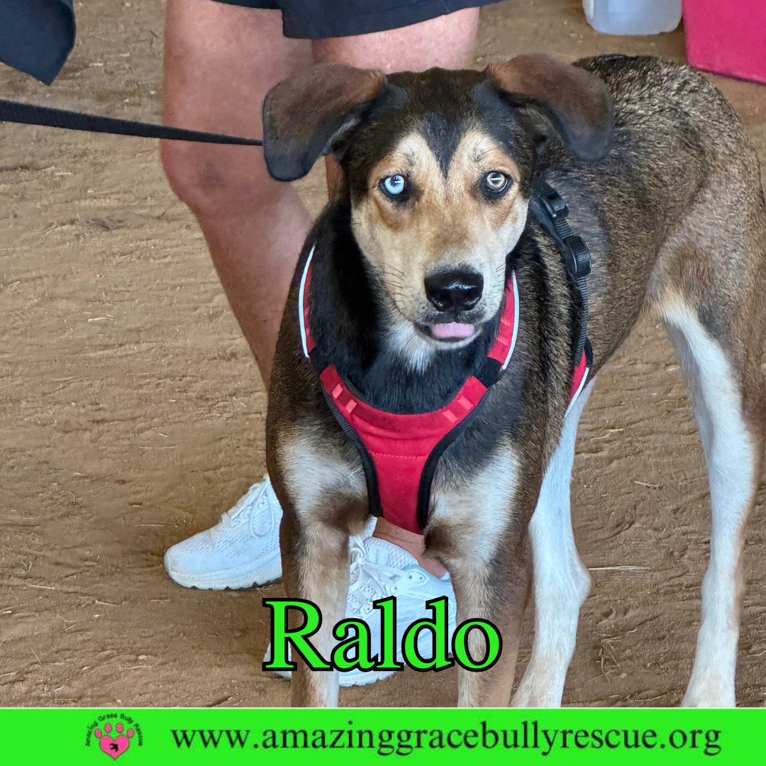 Raldo