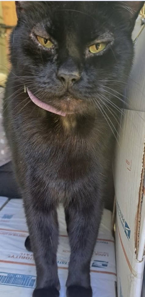 Tomas
