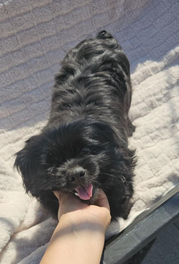 Nina - Now I&#39;m Adorable!