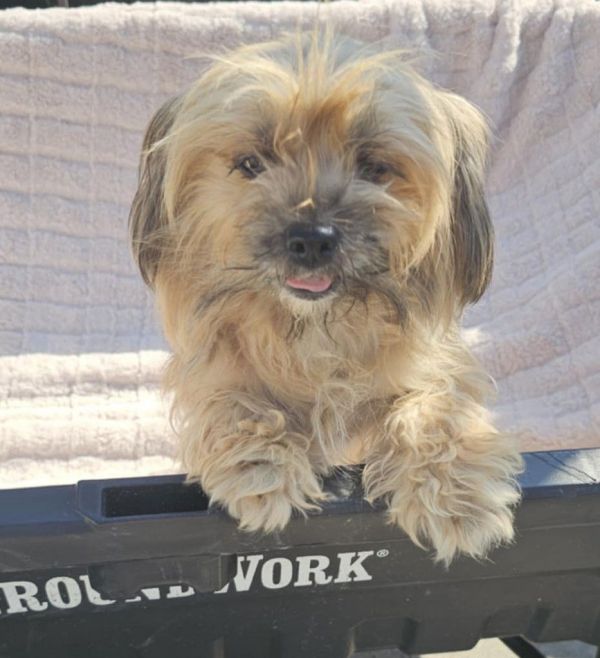 Jewel - Just Adorable!