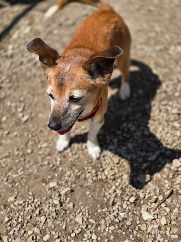 Sparkles thumbnail 2