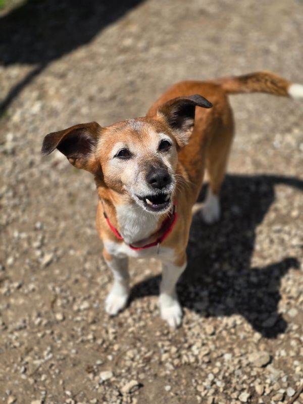 Sparkles thumbnail 3