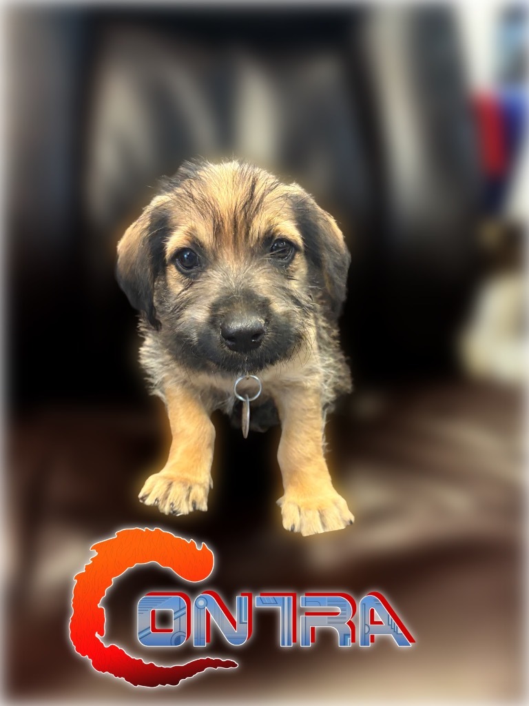 Contra