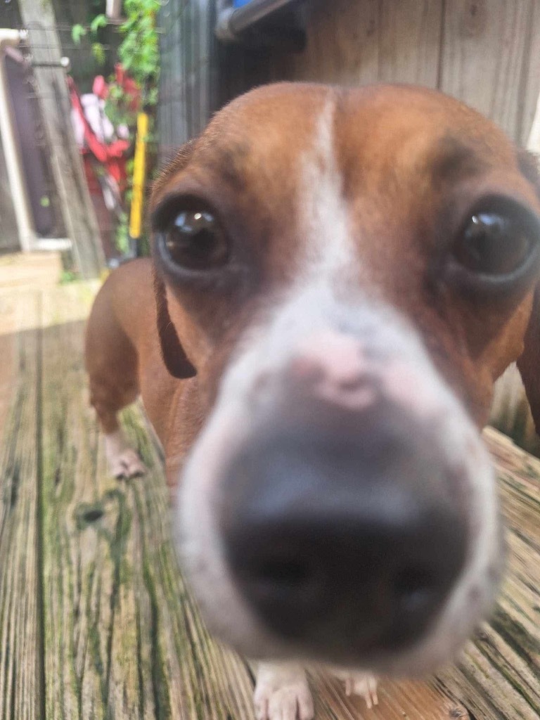 Ruby