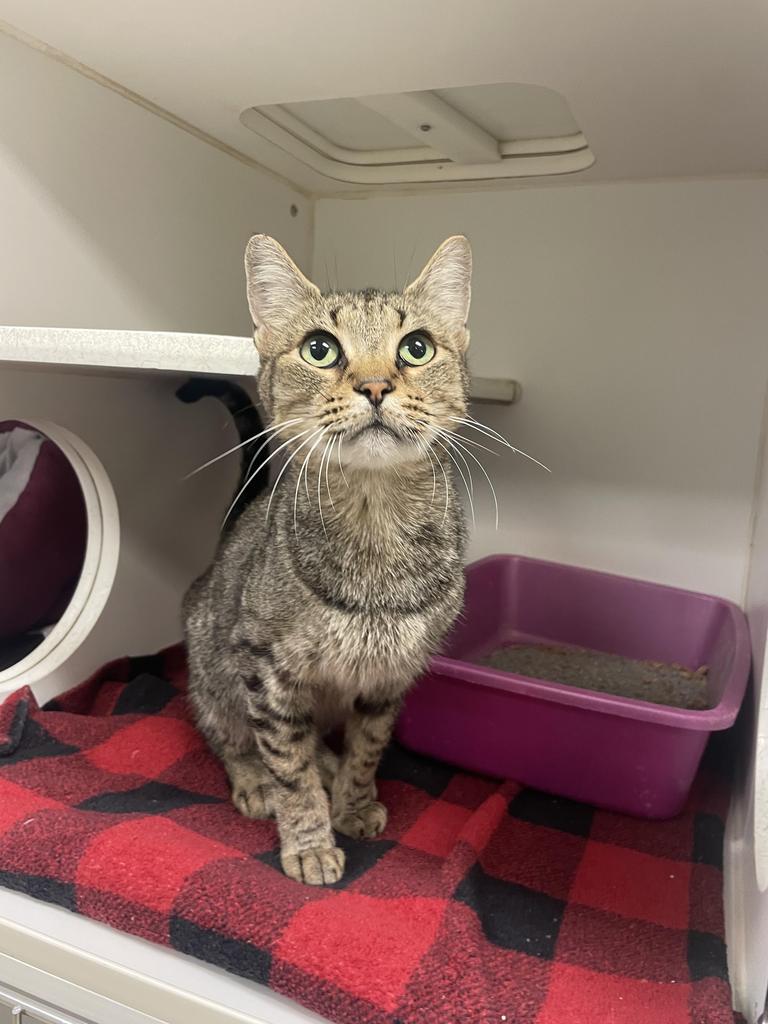 Stu (Jerry Smith Rd)