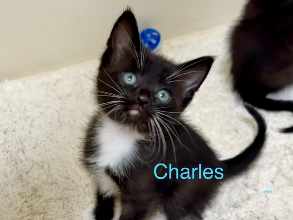 Charles
