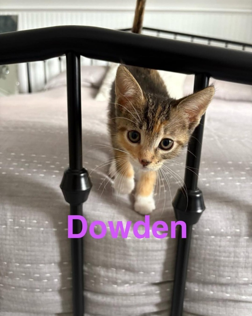 Dowden