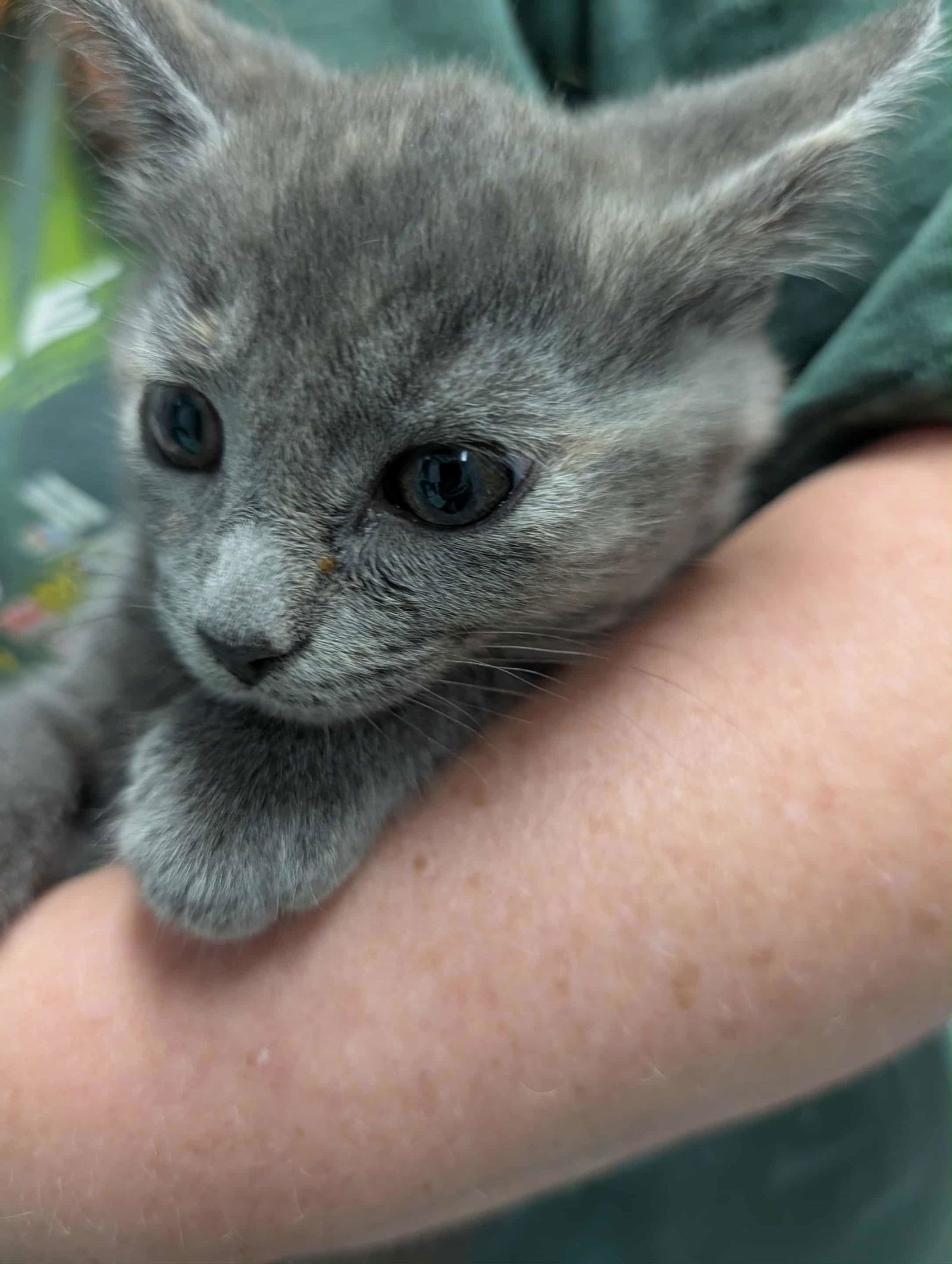 Philanthropist - At shelter