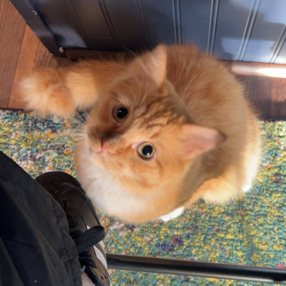 Chaco