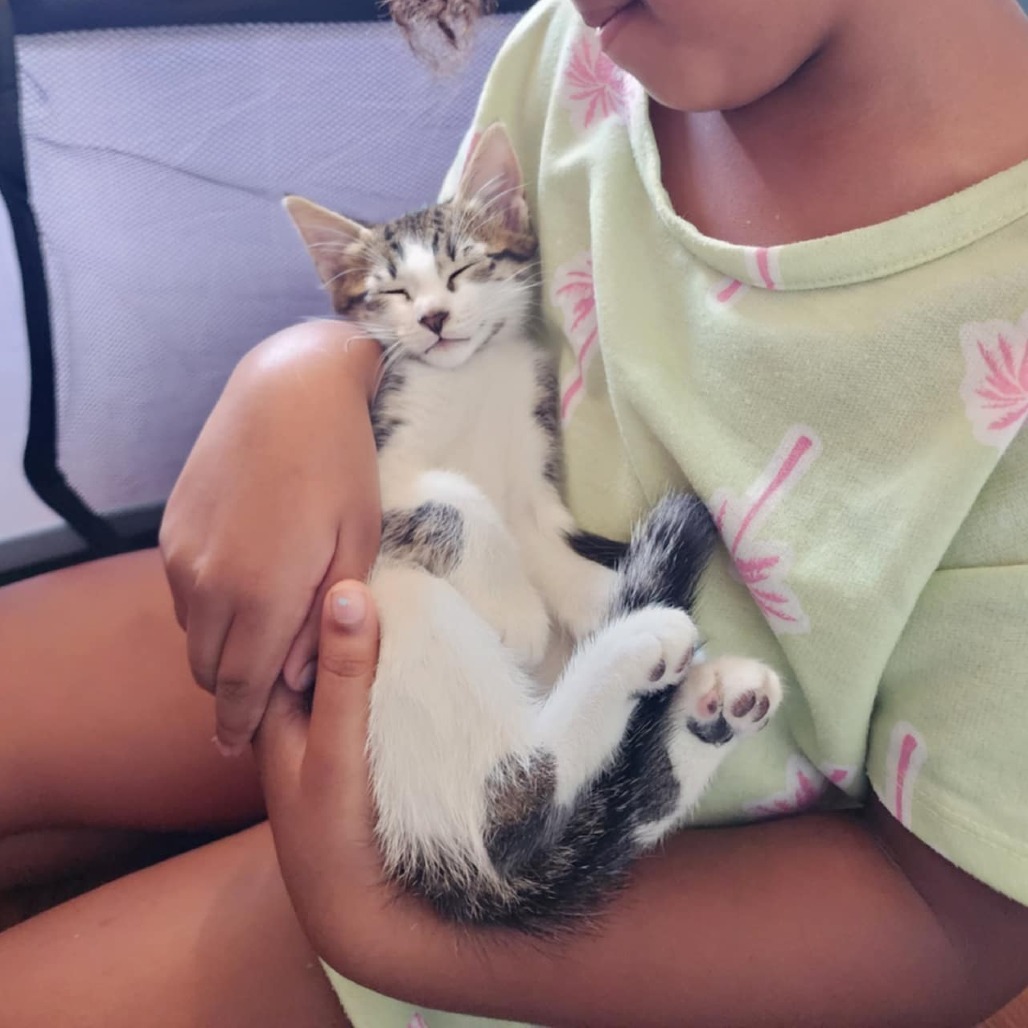 Ricky (paired with Jinx)