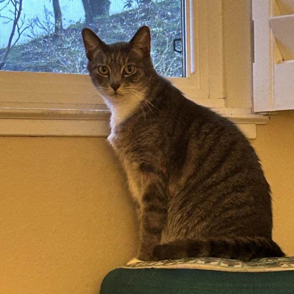 SAMMY