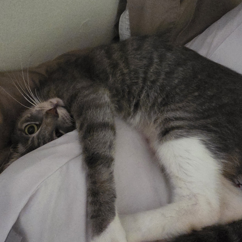 SAMMY