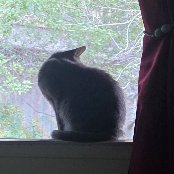 SAMMY