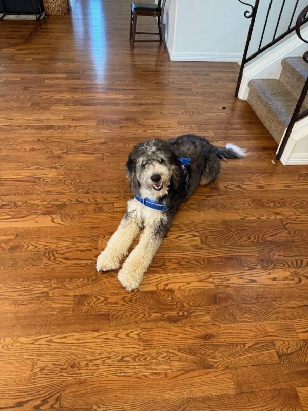 Kona
