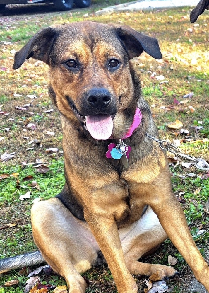 Lorrie (Shepard Sisters)