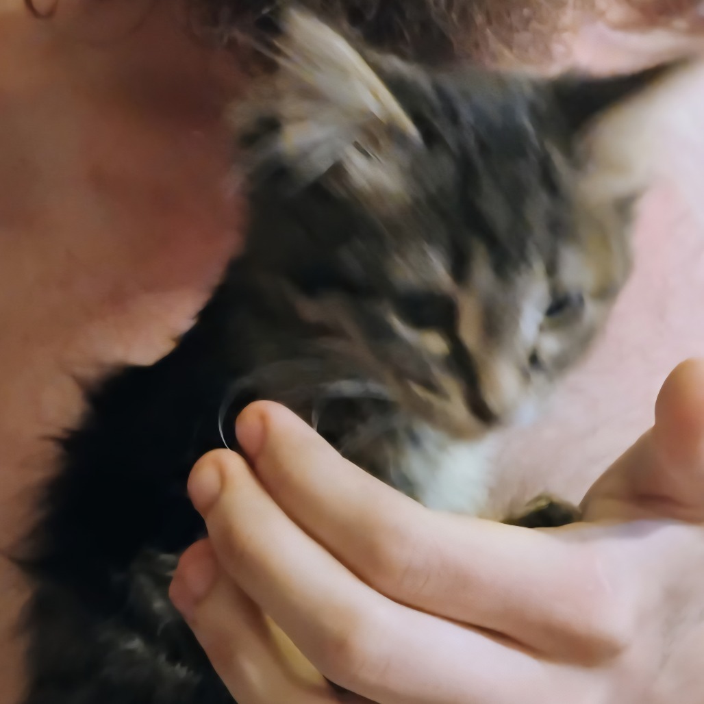Tiny girl