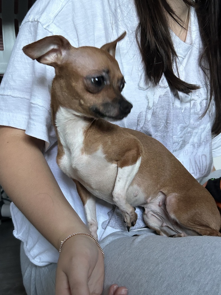 Chloe