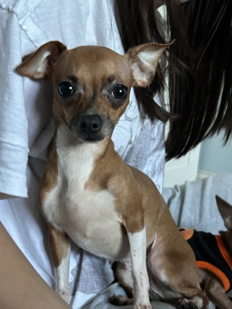 Chloe