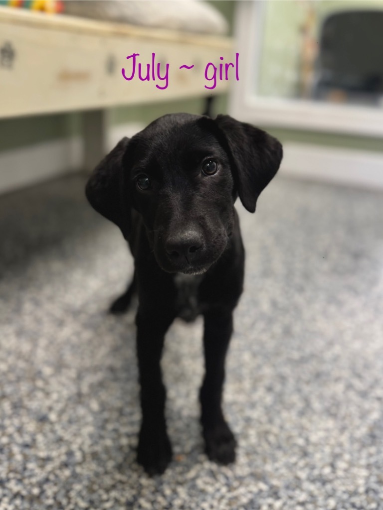 July