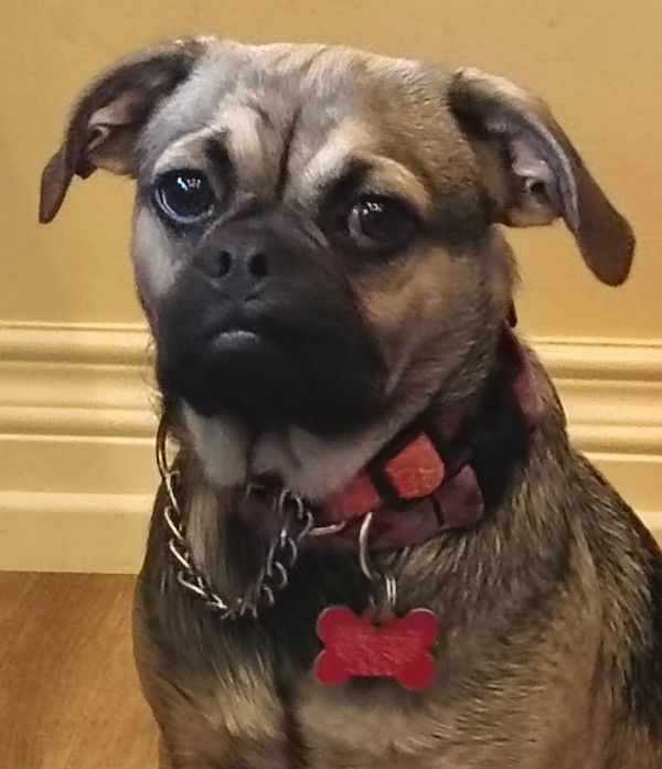 Mocha