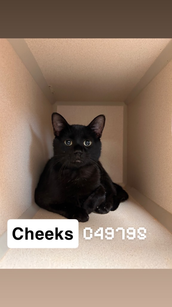 Cheeks