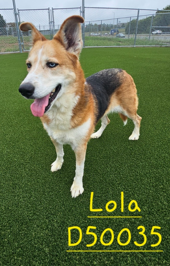 Lola