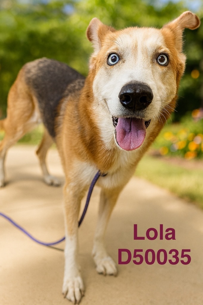 Lola