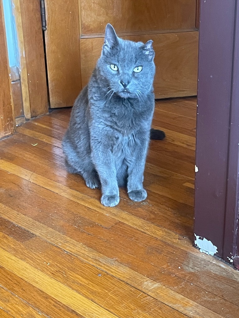 Smokey Joe / Cookie Monster