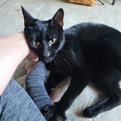 Max