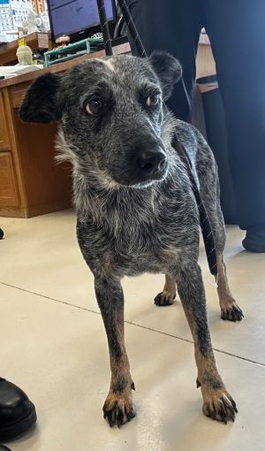 TINKER