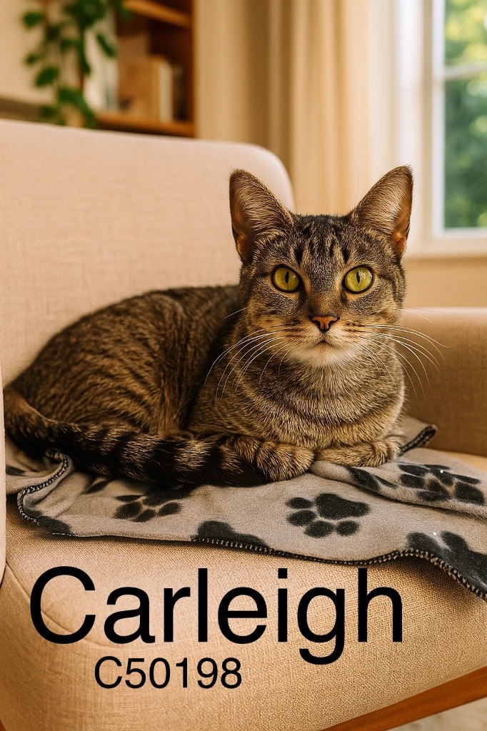 Carleigh