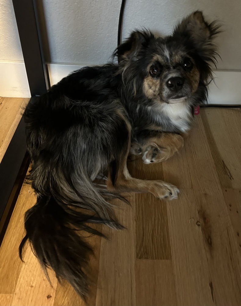 OPHIE