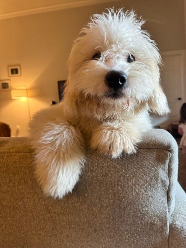 Theodore